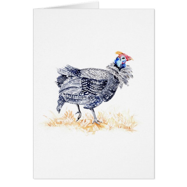 Guinea hen (Front)