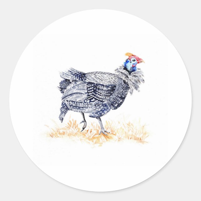 Guinea hen classic round sticker (Front)
