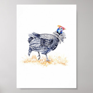 Guinea hen poster