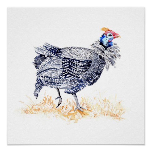 Guinea hen poster (Front)
