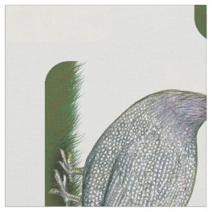 Guinea Lavender On Watch Fabric