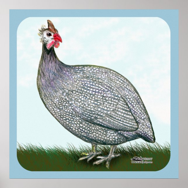 Guinea Lavender On Watch Poster (Front)