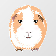 Guinea Pig