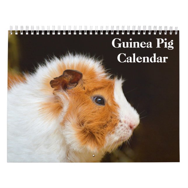 Guinea Pig 2027 Calendar (Cover)