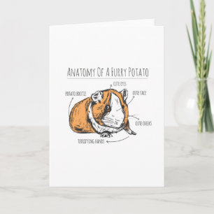 Guinea pig anatomy card