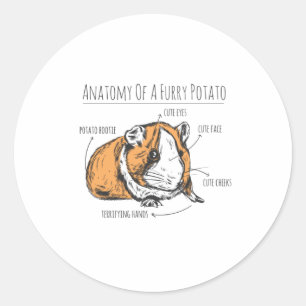Guinea pig anatomy classic round sticker