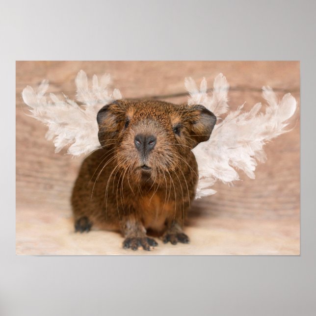 Guinea Pig Angel Poster (Front)