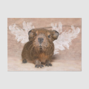 Guinea Pig Angel Tissue Paper