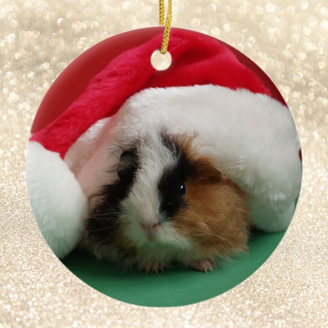 Guinea Pig Animal Christmas Ornament (Creator Uploaded)