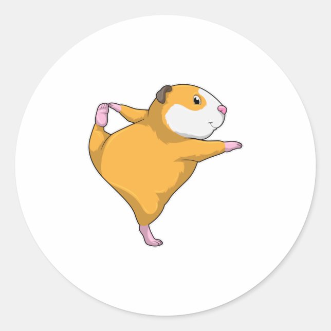 Guinea pig at Yoga Stretching exercise Classic Round Sticker (Front)