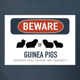 Guinea Pig Beware Poster