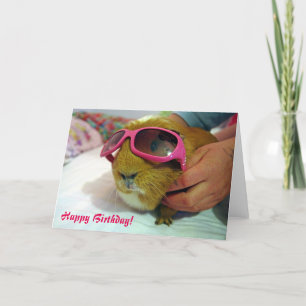 Guinea pig Birthday Card