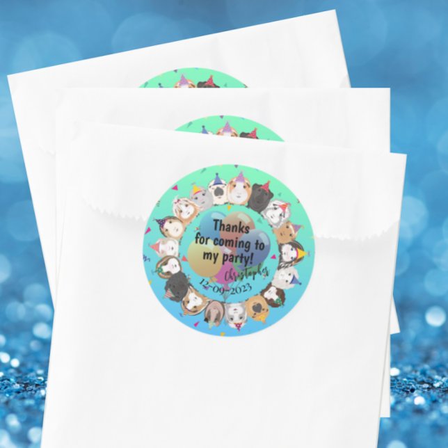 Guinea Pig Birthday Thank You Classic Round Sticker (Creator Uploaded)