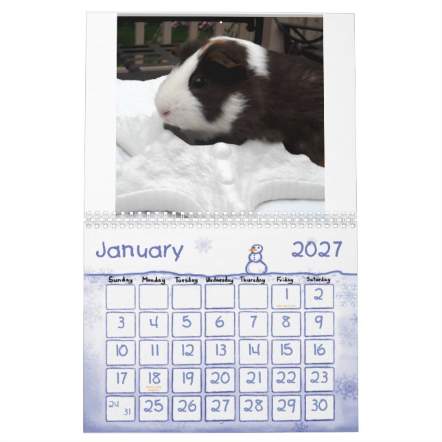 Guinea pig calander calendar (Jan 2027)