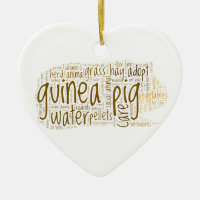Guinea Pig Care Reminder Word Cloud
