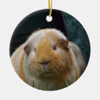 Guinea pig ceramic tree decoration