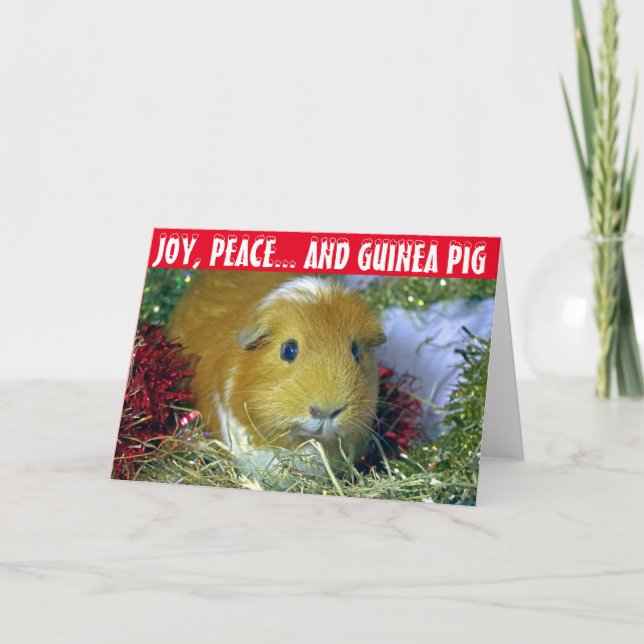 Guinea pig Christmas Card (Front)