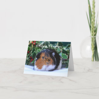 Guinea Pig Christmas Card