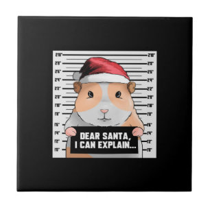 Guinea Pig Christmas Cavy Dear Santa I Can Explain Ceramic Tile