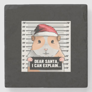 Guinea Pig Christmas Cavy Dear Santa I Can Explain Stone Coaster