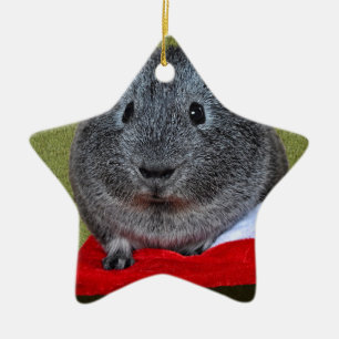 Guinea Pig Christmas Ceramic Ornament