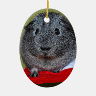 Guinea Pig Christmas Ceramic Ornament