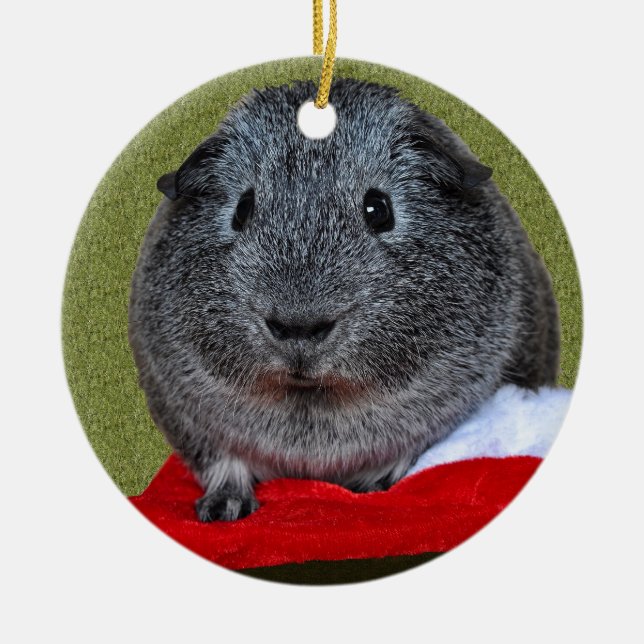 Guinea Pig Christmas Ceramic Tree Decoration (Front)