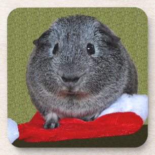 Guinea Pig Christmas Coaster