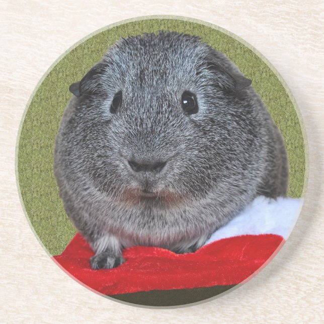 Guinea Pig Christmas Coaster (Front)