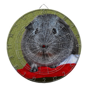 Guinea Pig Christmas Dartboard