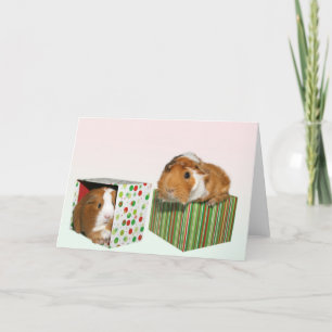 Guinea Pig Christmas Holiday Card