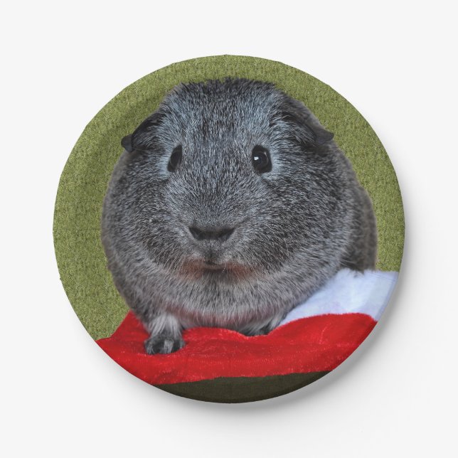 Guinea Pig Christmas Paper Plate (Front)