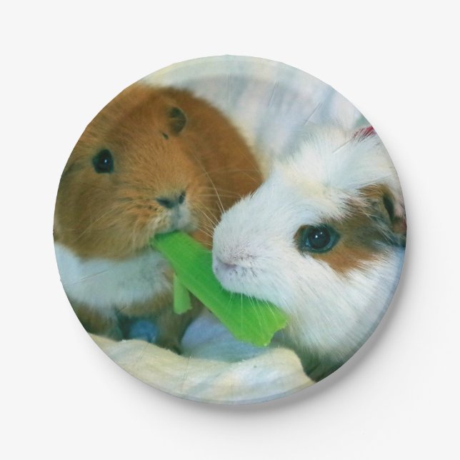 guinea pig Christmas plate (Front)