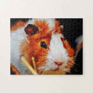 Guinea Pig Close Up, Jigsaw Puzzle