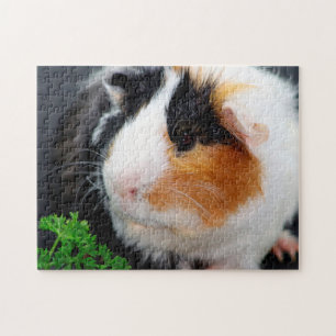 Guinea Pig Close Up, Jigsaw Puzzle