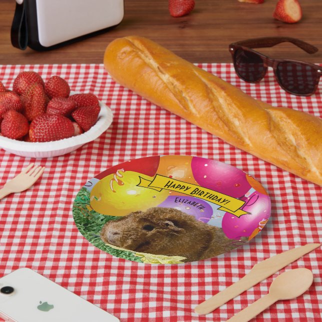 Guinea Pig Colourful Balloons Custom Party Paper Plate (Picnic)