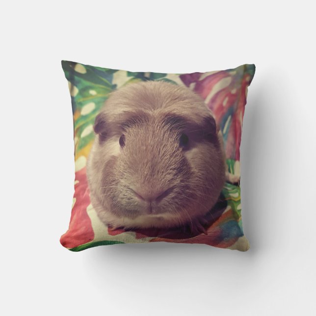Guinea pig cushion- Chew Chew Cushion (Front)