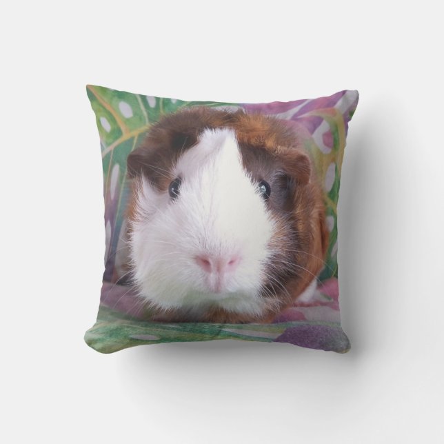 Guinea pig cushion- Cookie Cushion (Front)