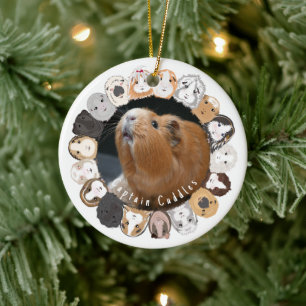 Guinea Pig Customisable Ceramic Ornament
