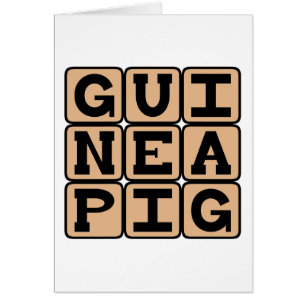 Guinea Pig, Cute Pet or Test Subject