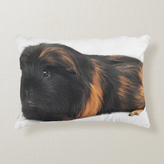 Guinea Pig Decorative Cushion (Front)