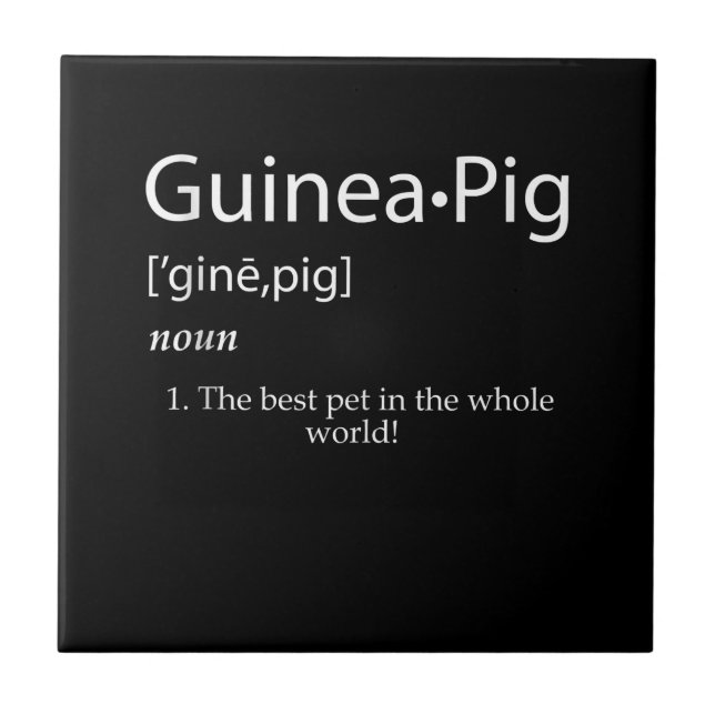 Guinea Pig Definition - Best Pet For Kids Ceramic Tile (Front)