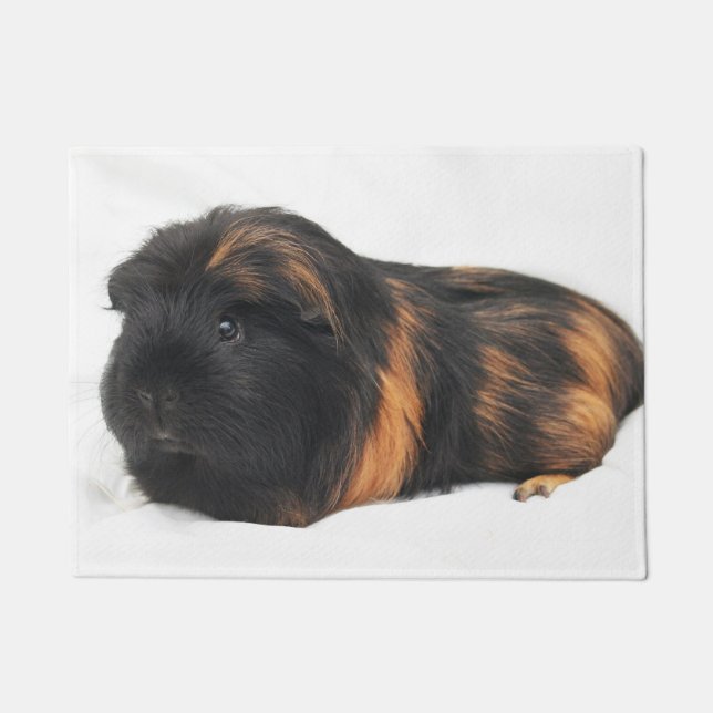 Guinea Pig Doormat (Front)