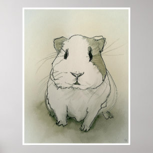 Guinea Pig Drawing - Art Print