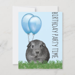 Guinea Pig Girly Blue Balloon Custom Birthday Invitation