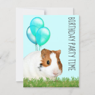 Guinea Pig Green Blue Balloons Custom Birthday  Invitation