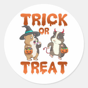 Guinea Pig Halloween Costume for a Men, women and Classic Round Sticker