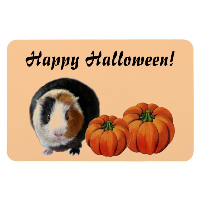 Guinea Pig Halloween Magnet (Horizontal)