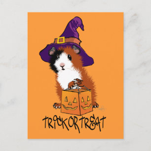 Guinea Pig Halloween Postcard