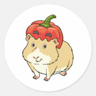 Guinea Pig Halloween Pumpkin Dress Up Classic Round Sticker